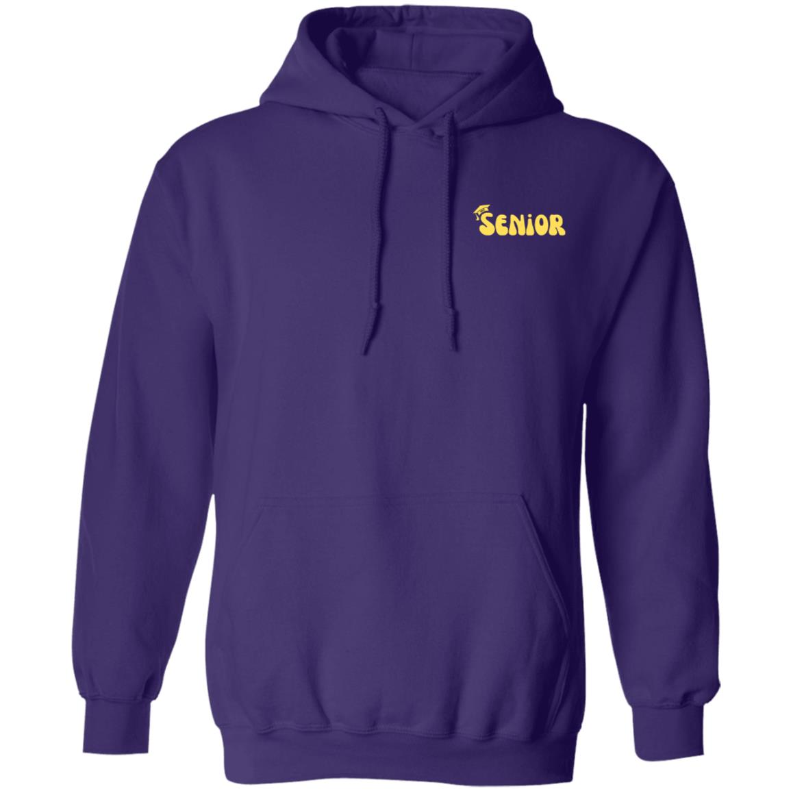 Senior 2025 Hoodies / pocket & back